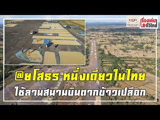 ยโสธร หนึ่งเดียวในโลก ใช้ลานสนามบินตากข้าวเปลือก : เรื่องเด่นทั่วไทย