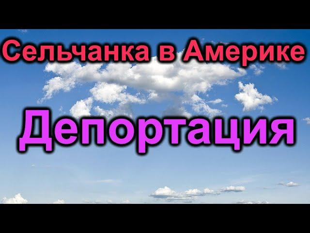 Сельчанка в Америке. Депортация