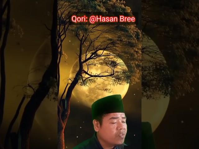 Q.S AN-NABA oleh @Hasan Bree