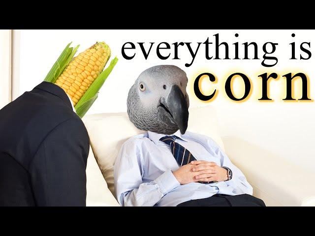 Visions of Corn