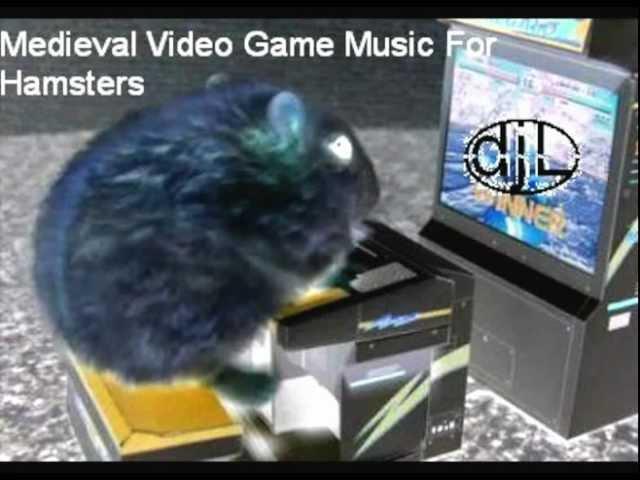 Medieval Video Game Music for Hamsters - dj longhair