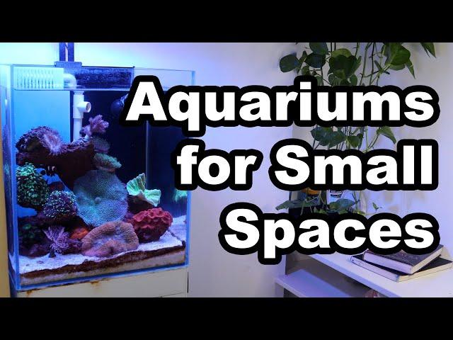 Aquariums for Limited Space | Four Tips