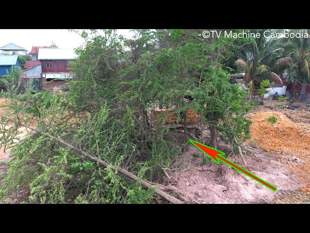 Intelligent Technique Skills Forest Way to Clear And Delete Deep Pond Using Double Dozer Pushing