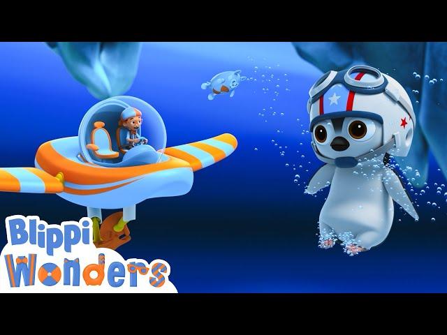 Penguenler  Blippi Türkçe - Çocuklar için Eğitici Videolar