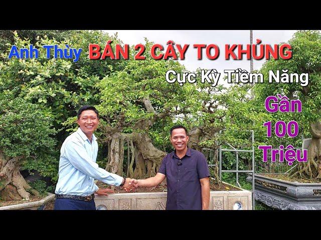 Anh Thùy HP bán 2 CÂY * 1 điền + 1 quê * TO KHỦNG và TIỀM NĂNG thế này MÀ CÓ CHƯA ĐẾN 100 TRIỆU .