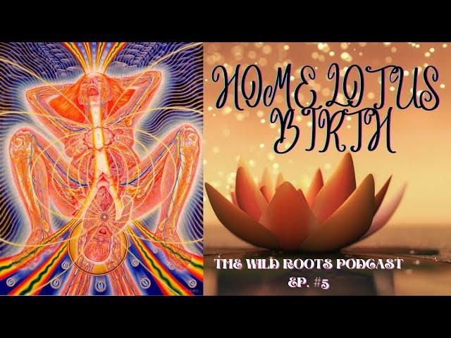 Lotus Birth- Episode 5 - The Wild Roots Podcast