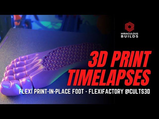 3D Printing Time Lapse - FlexiFoot - Ender 3 PRO [Octolapse]