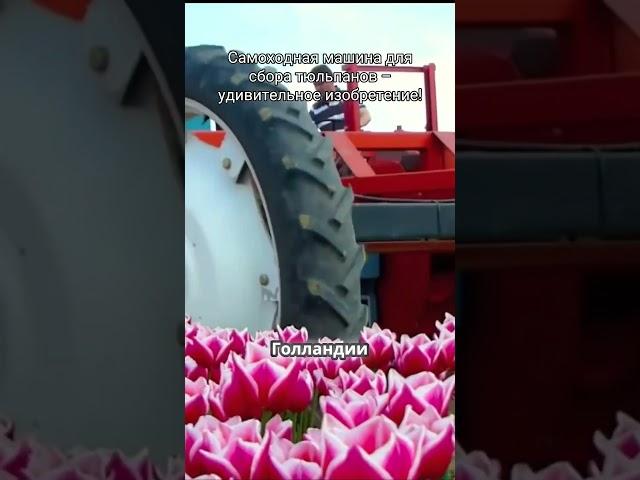 #топ #обзор #спецтехника