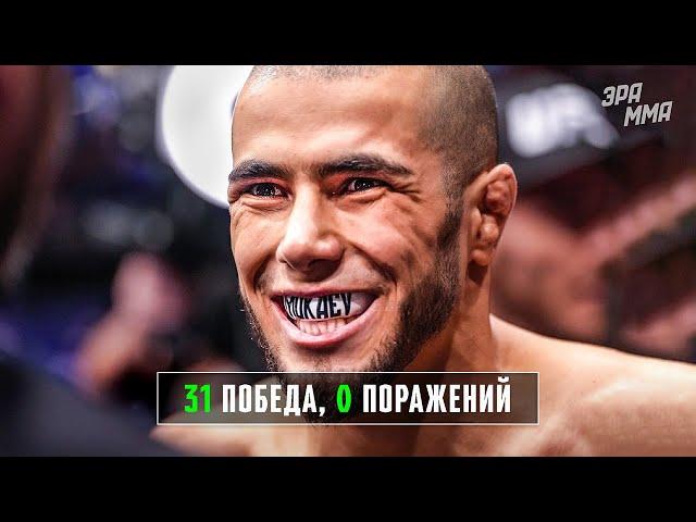 Боец Нового Поколения! Мухаммад Мокаев – Непобежденный Талант в UFC