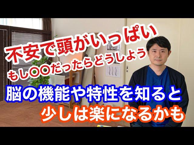 不安や心配ごとで頭がいっぱいな人は脳機能や脳の人格を知ることで少し楽になるかもしれません。