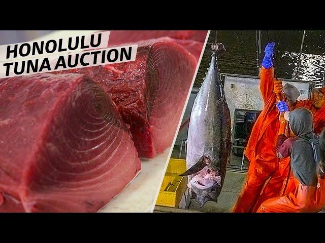 How America's Only Tuna Auction Is Run — Omakase