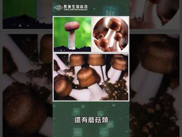 楊定一：調整體質，做好冬季保健