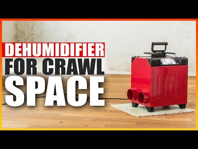 The Best Dehumidifier for Crawl Spaces in 2025  - The Right Dehumidifier for Your Crawl Space