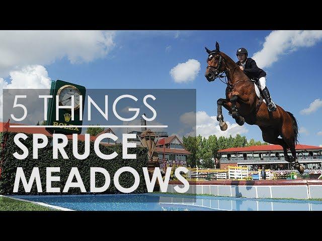 5 Things About Spruce Meadows