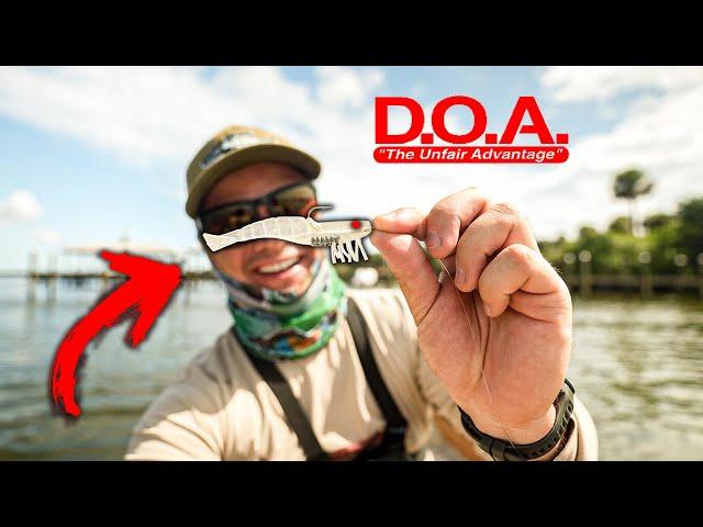 PUTTING THE DOA SHRIMP TO THE TEST! UNFAIR ADVANTAGE?? (Lure Review)