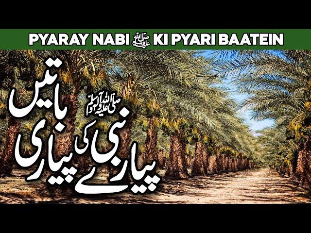 Pyare Nabi ki Pyari Baatein | Hadees in Urdu | Pyare Rasool ki Pyari Baaten | Al Habib