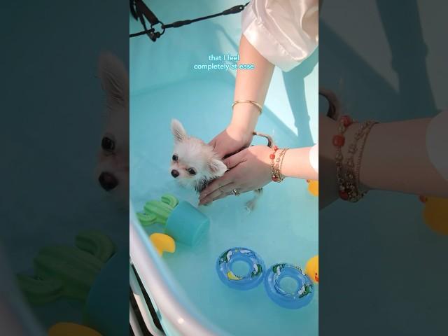 Puppy Barley Bath Time! 🫧