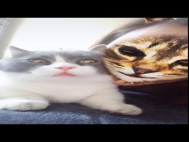 Funny Moments #1