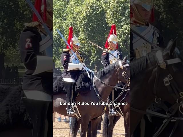 Absolutely GORGEOUS Blues And Royals King’s Guard | Changing the Guards and Horse #Shorts