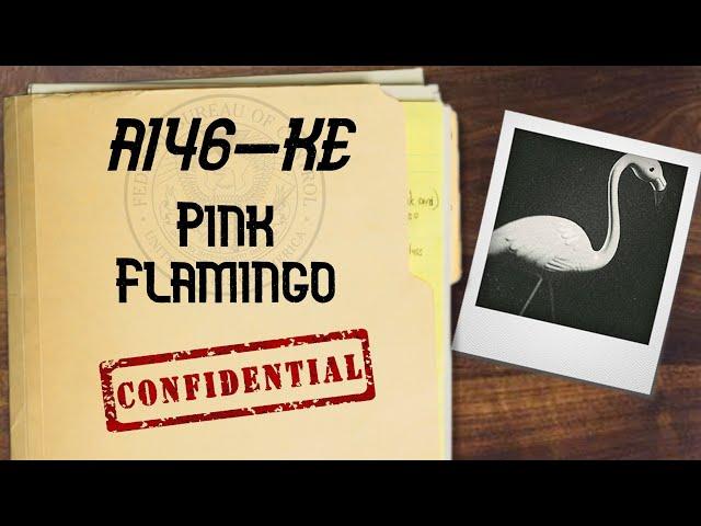 FBC Archivist | Pink Flamingo