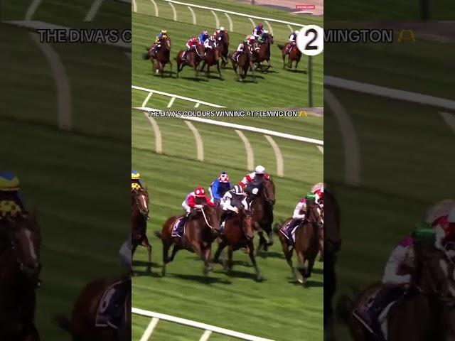 Makybe Diva's Colors Triumph: Epic Flemington Finish! #HorseRacing