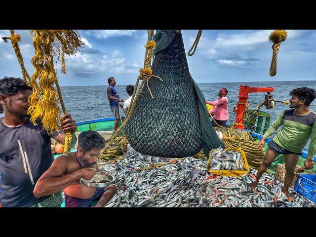 OMG‼️ Day 02: Watch This HUGE Trawl Net Devour the Deep Sea