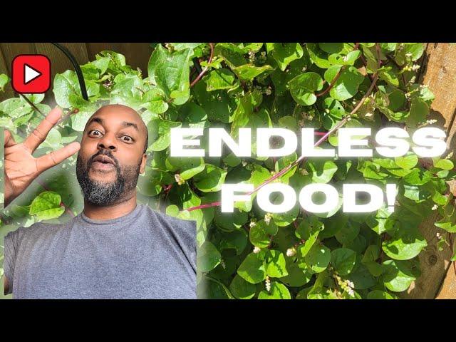 2 Things To Grow For ENDLESS Food! (Save this!)