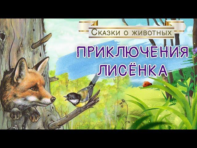 Приключения лисенка | сказка для детей| | женским голосом| сказка на ночь|  Зайкин канал