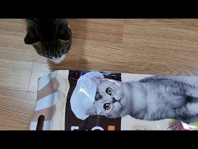 탐사 전연령용 고양이 사료, 5kg