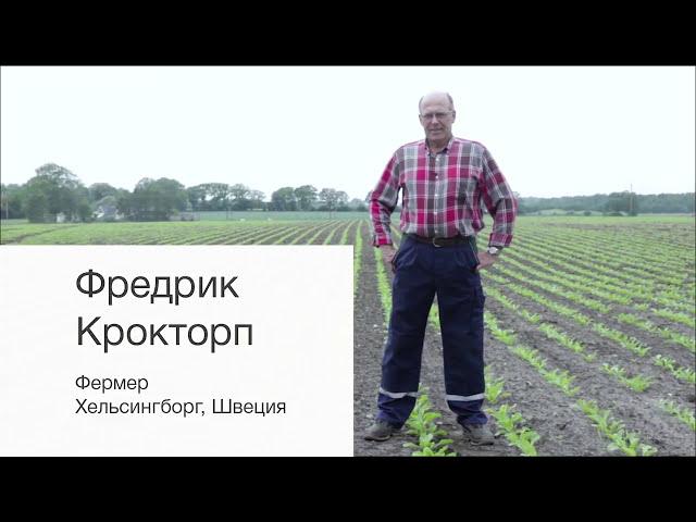 Качество семян сахарной свеклы