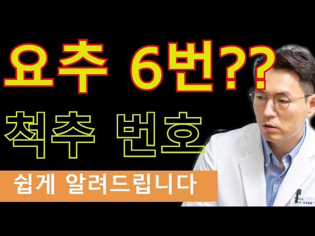 요추 6번?? 이 뭔가요? 척추 번호 매기는 방법 쉽게 알려드립니다