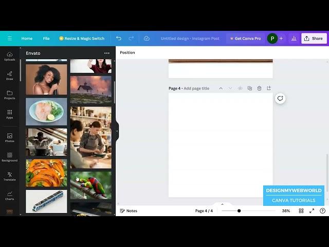 Exploring Canva's New Feature: Using Envato Photos Directly in Your Designs