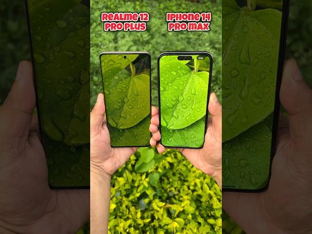 Realme 12 Pro Plus vs Iphone 14 Pro Max Camera Test #realme #iphone #shorts