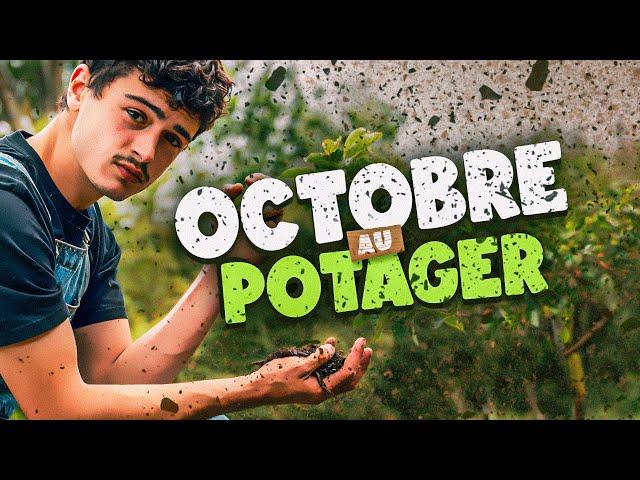 LE POTAGER DU MOIS D'OCTOBRE - Fin du potager d'été début du potager d'automne !