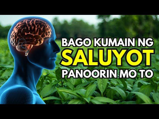 Panoorin Mo Muna Ito Bago Ka Kumain Ng Saluyot | Health Benefits Of Saluyot