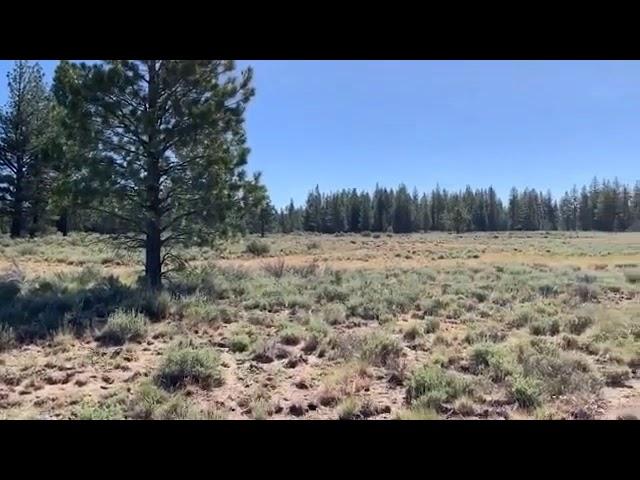 9 8ac Residential Land For Sale Klamath County Oregon