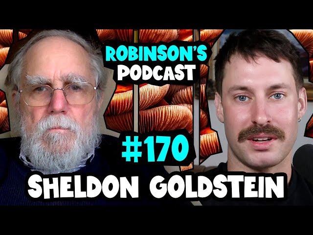 Sheldon Goldstein: Pilot Wave Theory and Bohmian Mechanics | Robinson's Podcast #170