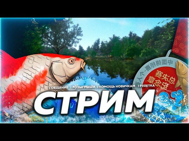 ⭐СТРИМ РР4 | Отдых от Медного и КОИ  или нет?) |  Призы В Рулетке!