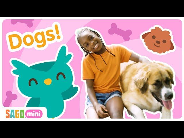 How Do You Take Care of a DOG  | Circle Time for Kids | Sago Mini Social & Emotional Learning