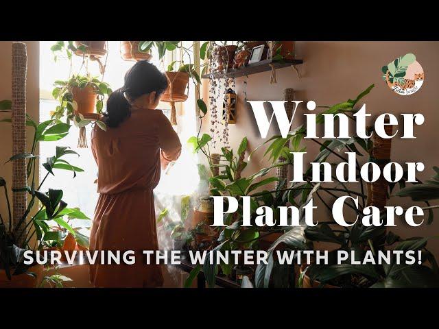 Winter Houseplant Care Tips I Gardening Plant Care Routine For Winter