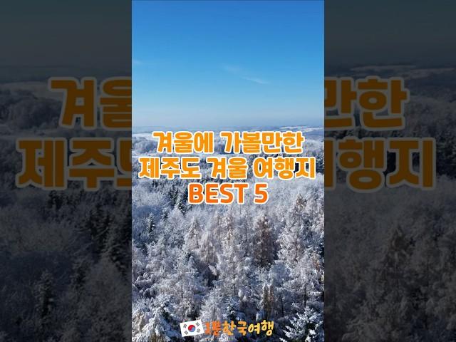 겨울에 가볼만한 제주도 겨울 여행지 BEST 5 | 1분한국여행 , 여행지추천 , 국내여행