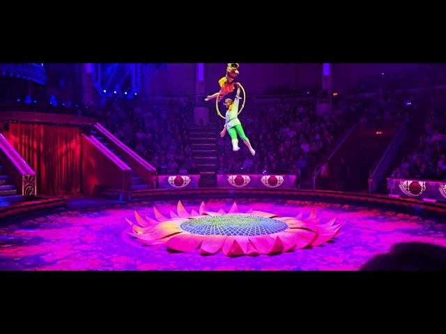 Как не сорвались? Московский цирк Никулина🫣How did you not lose it? Nikulin Moscow #circus #show