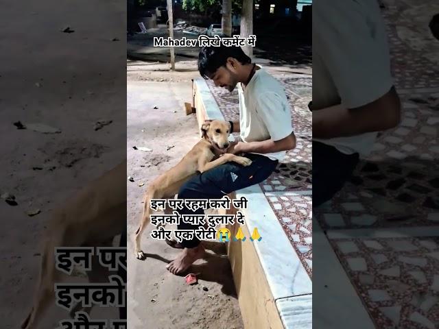 #lovedogs #sadstatus #shortvideo |Ashish Vishwakarma #shorts