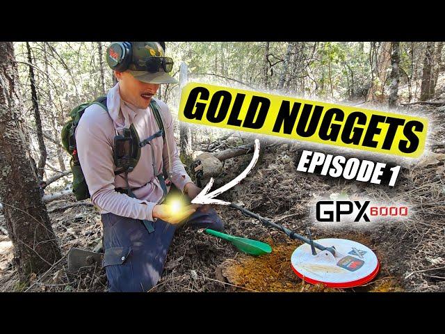 Finding Gold With the Minelab GPX 6000 Metal Detector