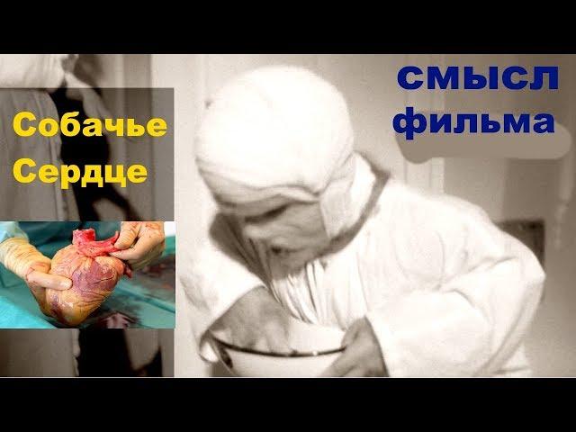 Собачье сердце от запрещенного в СССР до включенного в школьную программу