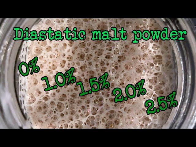 Diastatic malt timelapse | What does it do for your rise? | Foodgeek