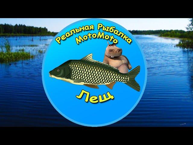 Как поймать Леща на Рыбхозе [NEW] | Реальная Рыбалка