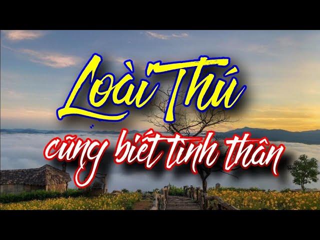 Xin hãy yêu thương muôn loài