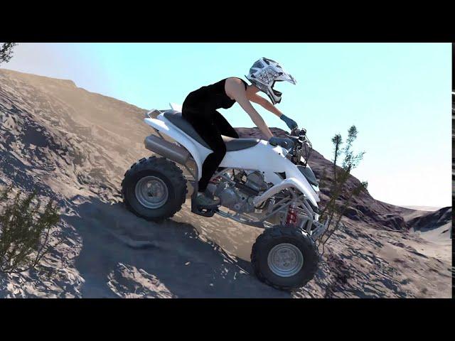 Accident Reconstruction with 3D Animation for any budget