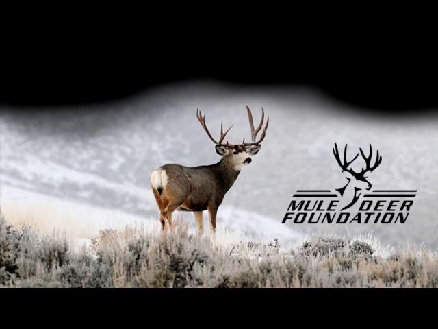 MDF Dinner Banquet 2017 - Sevier Chapter - Mule Deer Foundation